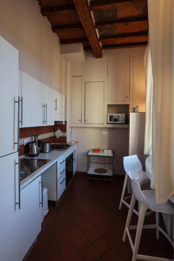 Santo Spirito - Elegante Appartamento In Pieno Centro Флоренция Экстерьер фото